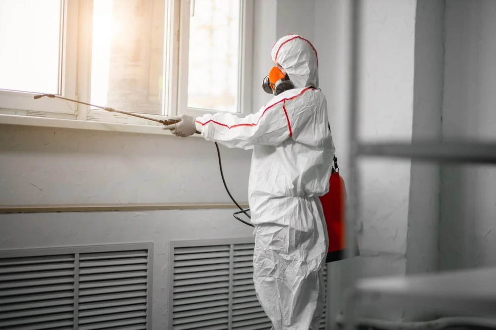 Professional mold remediation services in Manasquan, NJ